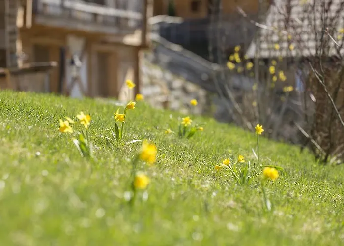 Chaletdorf Bergherz Sankt Johann im Pongau